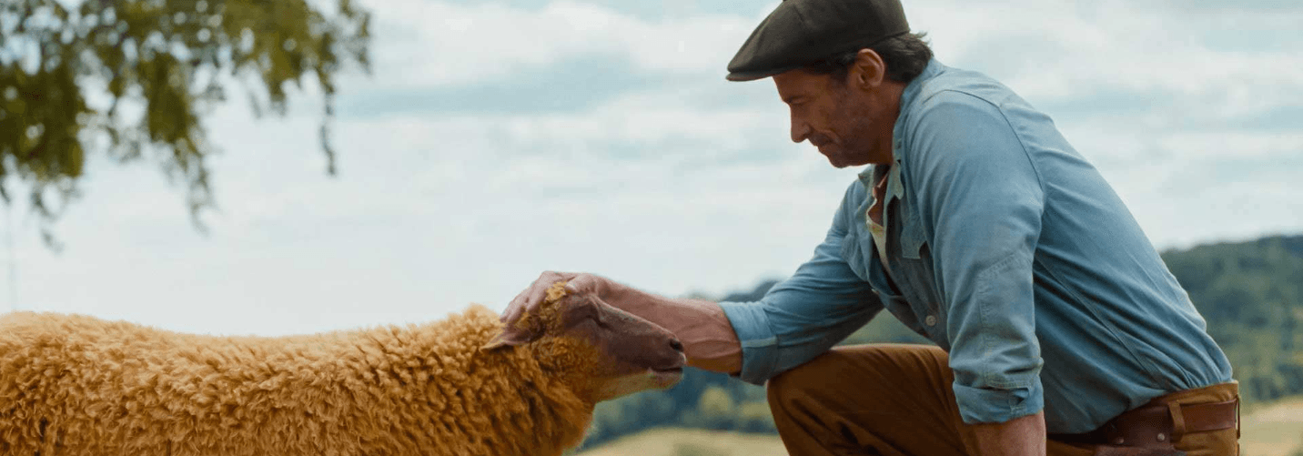 The Sheep Detectives
